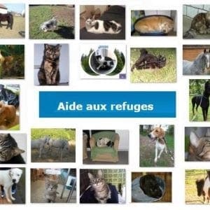 forum-aide-aux-refuges