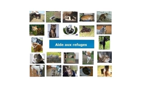 12-Nos partenaires-Aide aux refuges