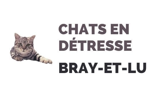 12-Nos partenaires-Chats en détresse Bray-et-Lu