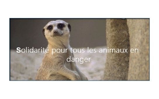 12-Nos partenaires-Solidarité Animaux