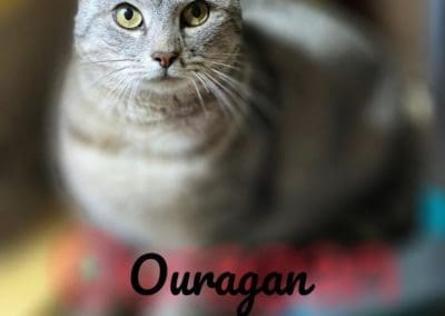 Ouragan