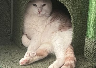 Caramel