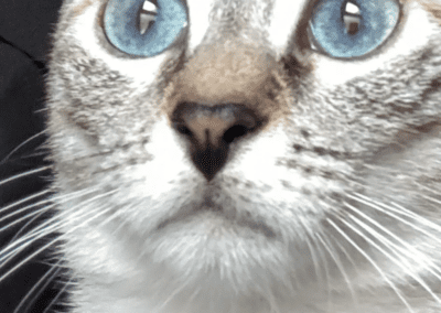 Lilou
