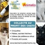 les_chachous_de_chacha_flyer_collecte_v3-images